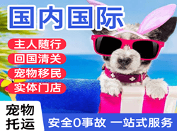 邯郸机场空运国际宠物托运 【国